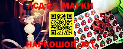 гидра Лесосибирск