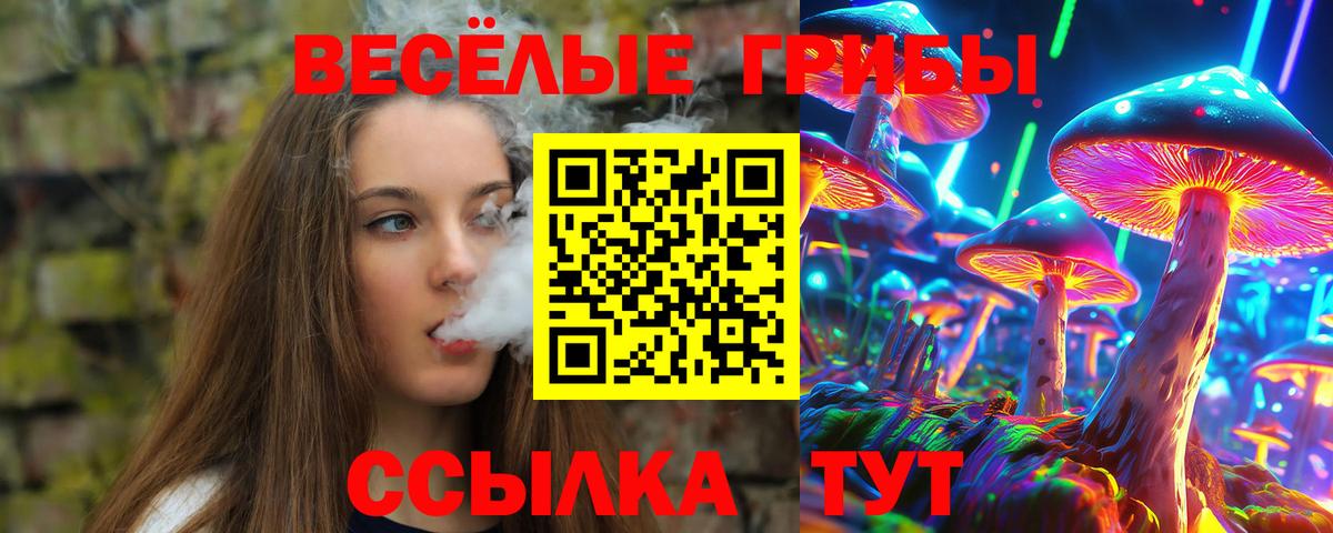 Галлюциногенные грибы Psilocybine cubensis  Вход с VPN  Псилоцибиновые грибы Magic Shrooms  Усолье-Сибирское 