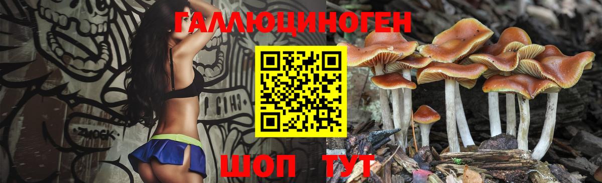 Галлюциногенные грибы Psilocybe Усолье-Сибирское